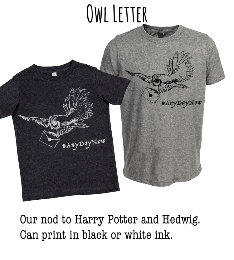 A black t-shirt with a graphic of a flying owl and the text "#AnyDayNow" printed on it, and a gray t-shirt with the same graphic and text.