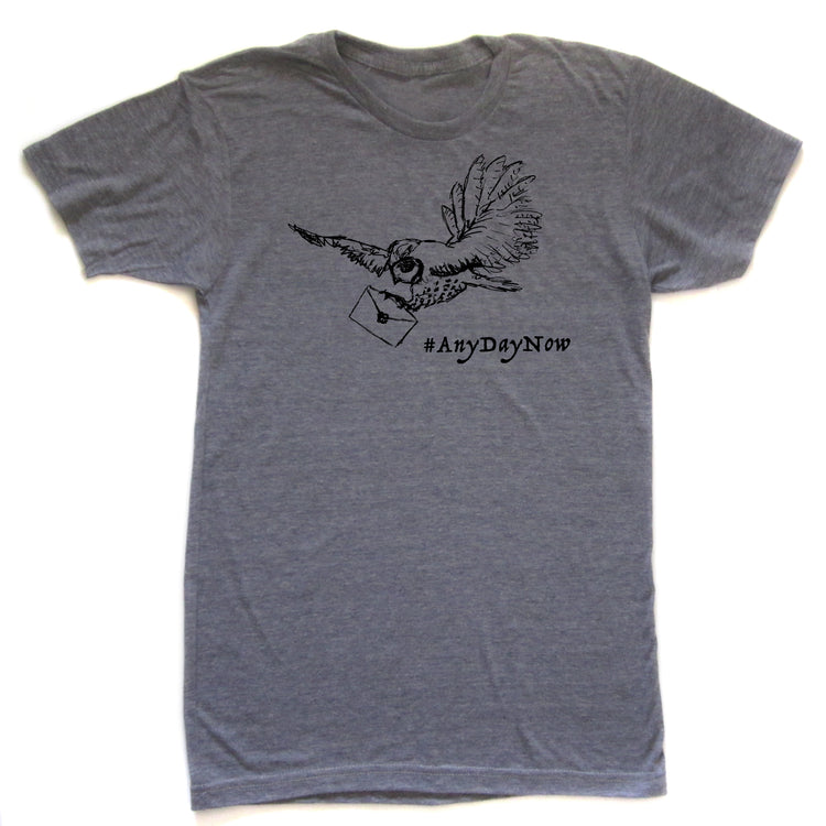 A gray t-shirt with a graphic design depicting a bird carrying an envelope, accompanied by the text "#AnyDayNow".