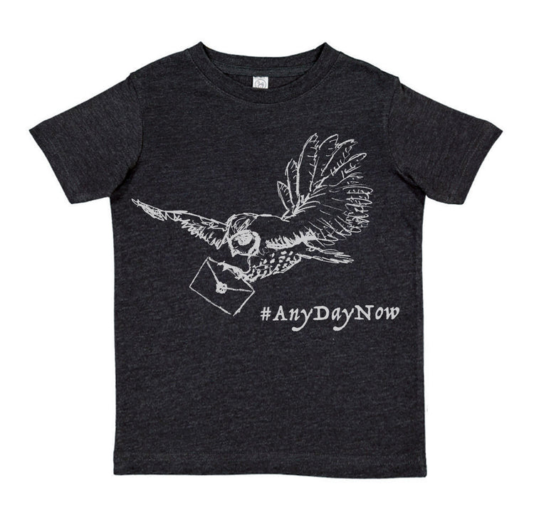 A black t-shirt with a white graphic design depicting a bird carrying a letter, accompanied by the text "#AnyDayNow" printed below.