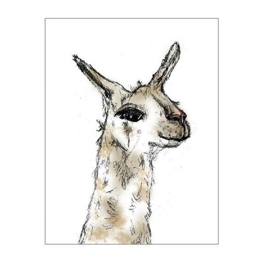 Llama Notecard
