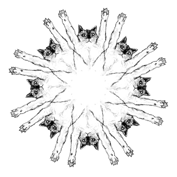 Women's Tee Suncats - Super Soft Apparel | Hand Printed Eco Friendly Shirt