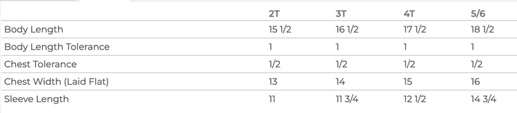 a table with various measurements and descriptions for different clothing sizes, including body length, chest width, sleeve length, and chest width tolerance.