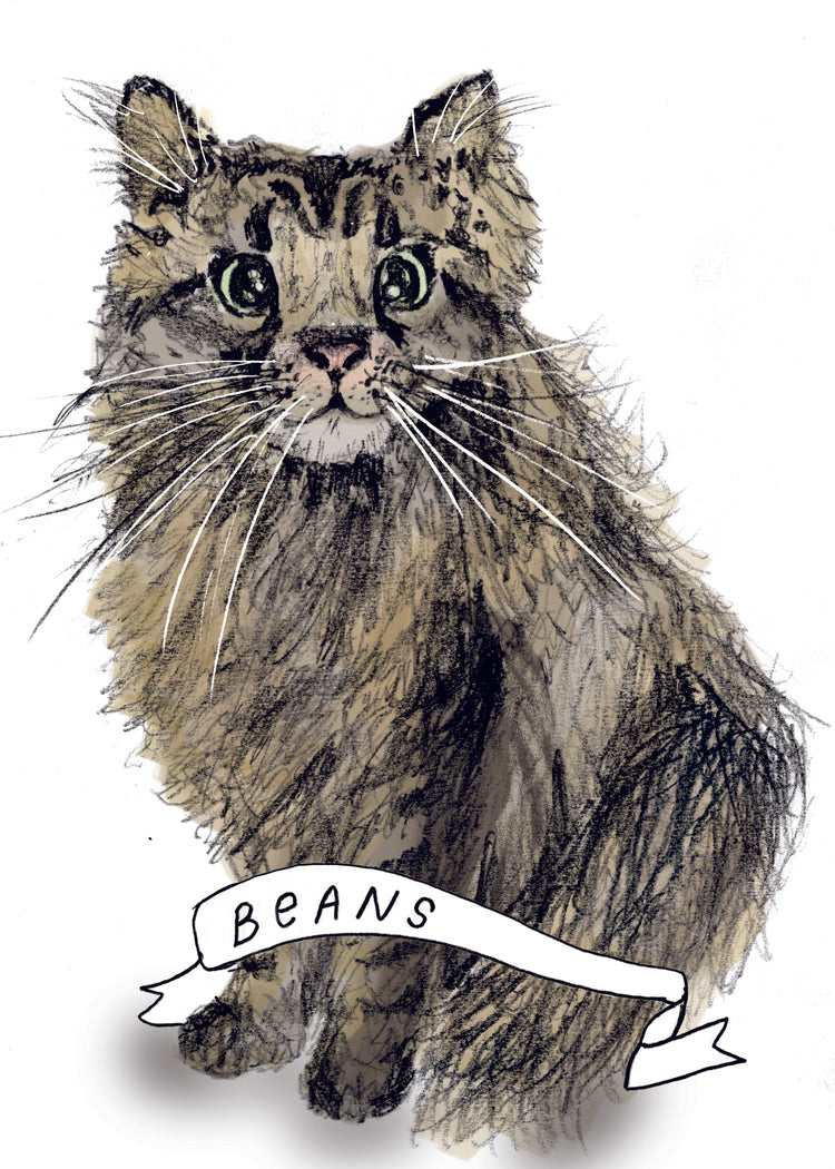 Custom Cat Portrait – Hand Drawn Cat Art Prints by Megan Lee Designs