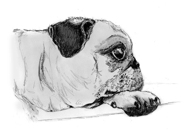 Custom Dog Portrait – Hand Drawn Pet Silhouette & Digital Dog Art Prints by Megan Lee Designs