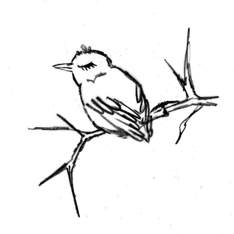 Bird and Branch : women racerback tri-blend tank, Women's Apparel - Megan Lee Designs