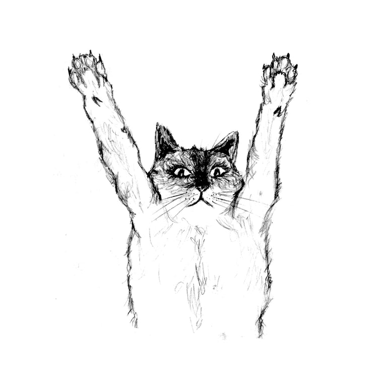 Cat : bodysuit (white), Baby Apparel - Megan Lee Designs