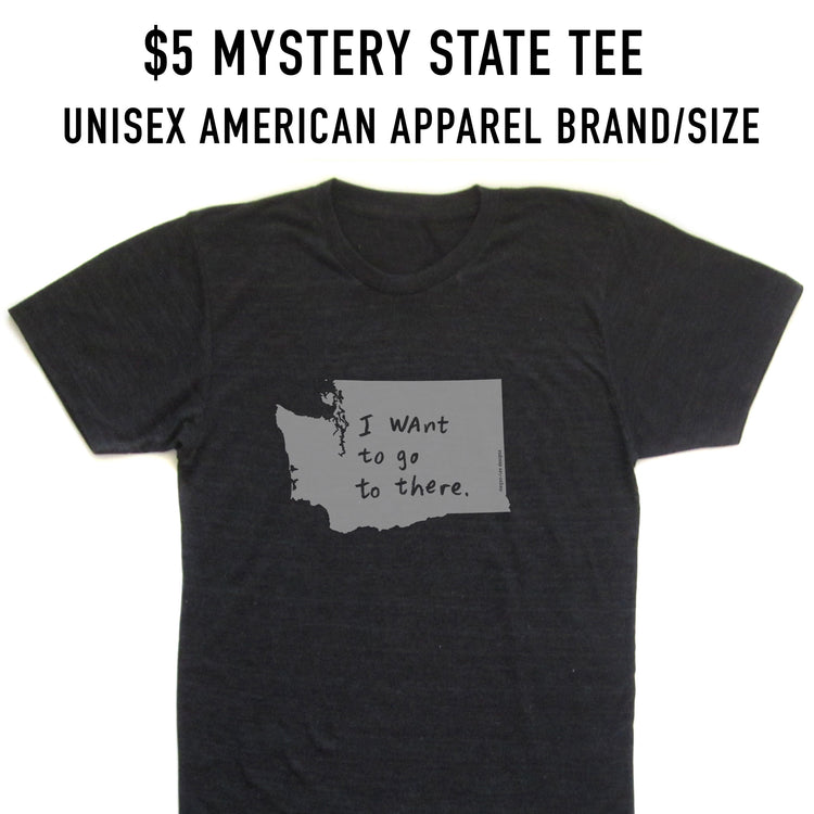 Mystery State T-shirt – Unisex Tri-Blend Shirt With Printed State Design by Megan Lee