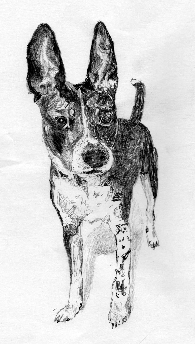 Custom Dog Portrait – Hand Drawn Pet Silhouette & Digital Dog Art Prints by Megan Lee Designs