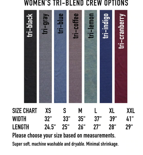 Halloween Bat Tee - Women's Soft Tri Blend Shirt With Bat Graphic Design