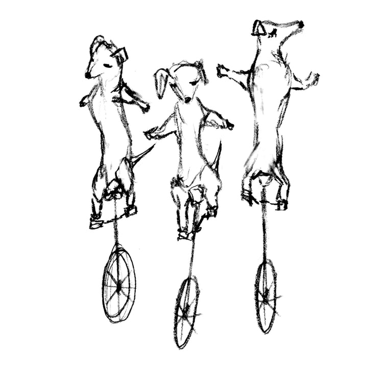 Uni-Dachshunds : women tri-blend tee, Women's Apparel - Megan Lee Designs