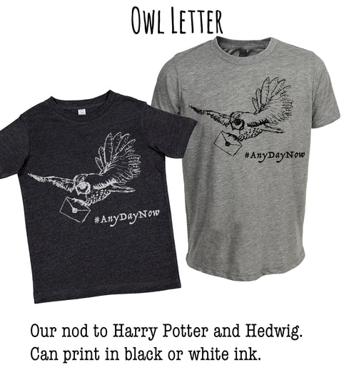 A black t-shirt with a graphic of a flying owl and the text "#AnyDayNow" printed on it, and a gray t-shirt with the same graphic and text.