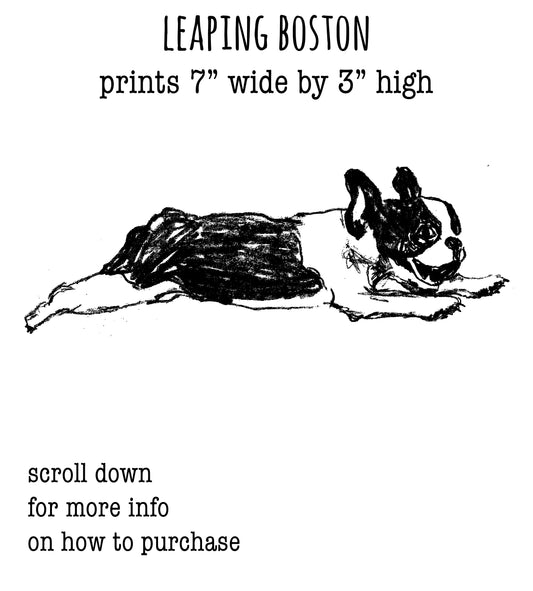 A black and white drawing of a dog lying down.