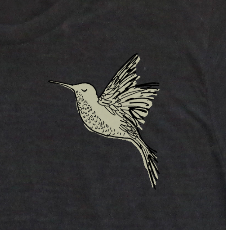 A stylized illustration of a hummingbird in flight against a dark background.