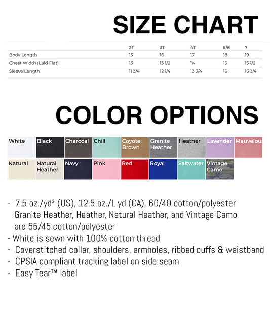 Soft Vintage Pullover Toddler Sizing Funny Cat Screen Print