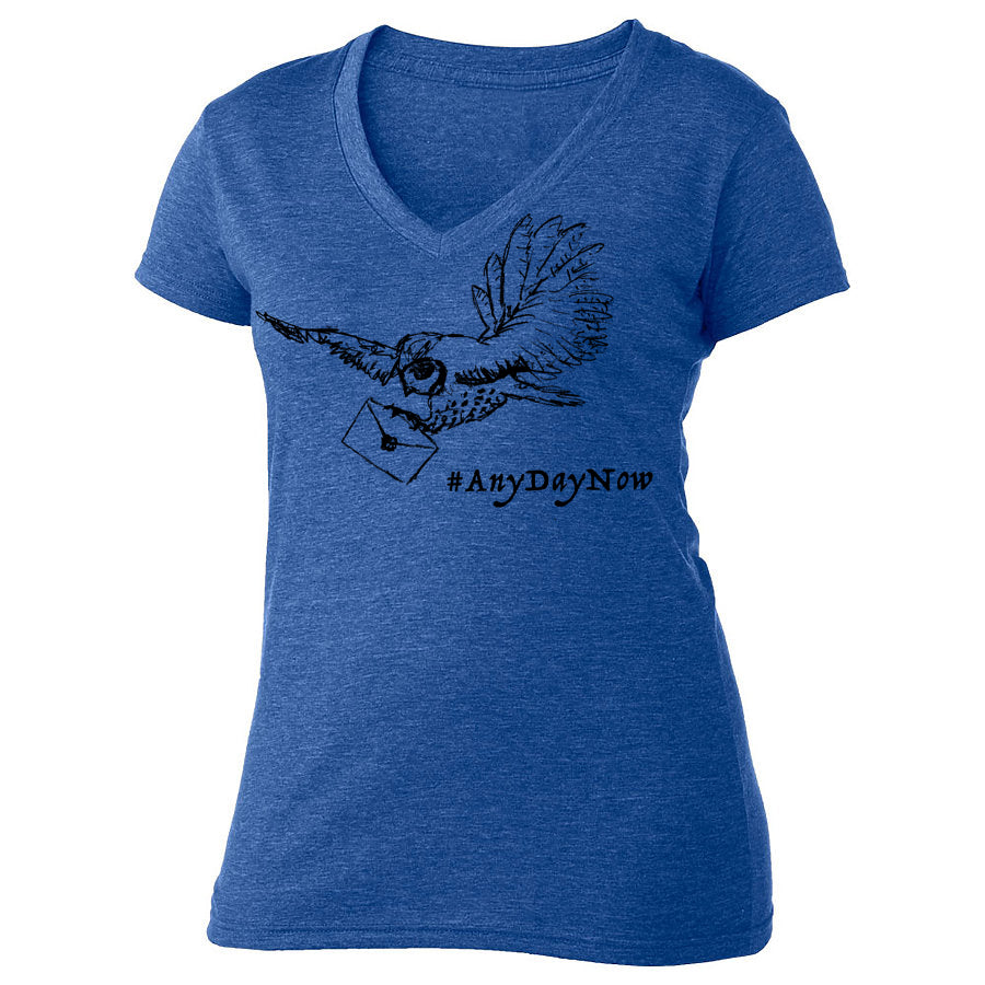 A blue t-shirt with a graphic design depicting a bird carrying a letter, accompanied by the text "#AnyDayNow" printed on it.