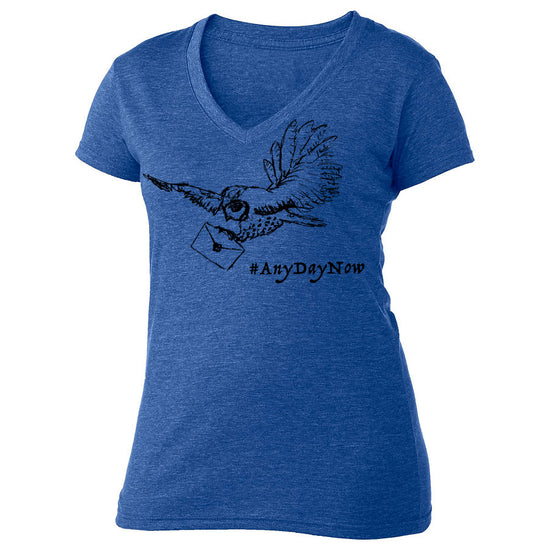 A blue t-shirt with a graphic design depicting a bird carrying a letter, accompanied by the text "#AnyDayNow" printed on it.