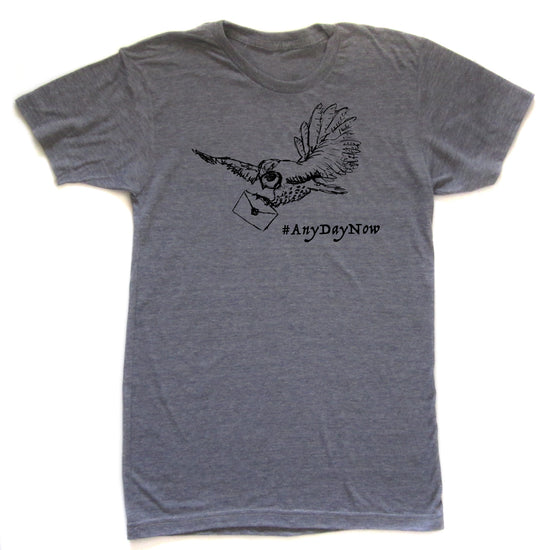 A gray t-shirt with a graphic design depicting a bird carrying an envelope, accompanied by the text "#AnyDayNow".