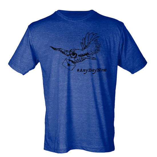 A blue t-shirt with a graphic design depicting a bird carrying a letter and the text "#AnyDayNow" printed on it.