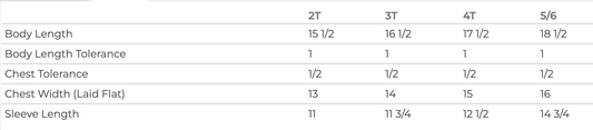 a table with various measurements and descriptions for different clothing sizes, including body length, chest width, sleeve length, and chest width tolerance.