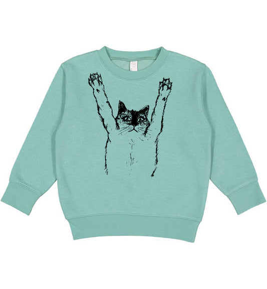 Soft Vintage Pullover Toddler Sizing Funny Cat Screen Print