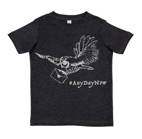 A black t-shirt with a white graphic design depicting a bird carrying a letter, accompanied by the text "#AnyDayNow" printed below.