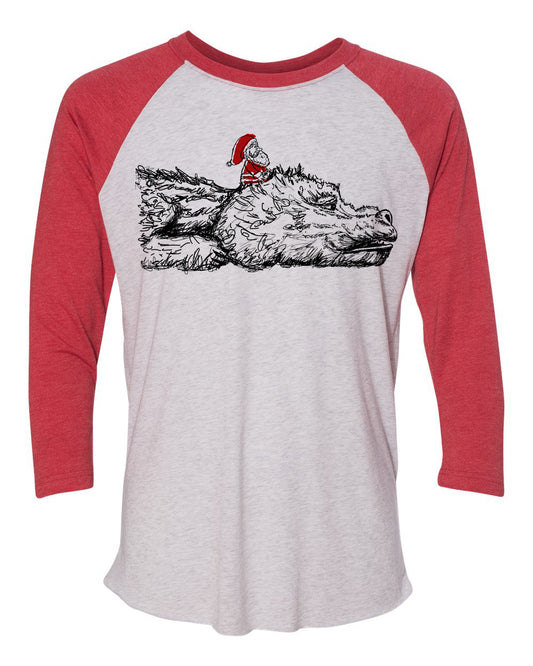 Unisex Baseball Tee - Next Level Tri Blend Raglan Shirt by Megan Lee Designs