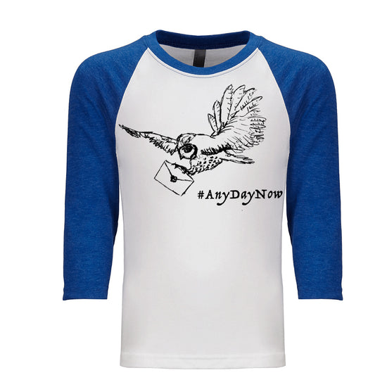 A white and blue baseball-style t-shirt with a graphic of a bird carrying an envelope and the text "#AnyDayNow" printed on it.
