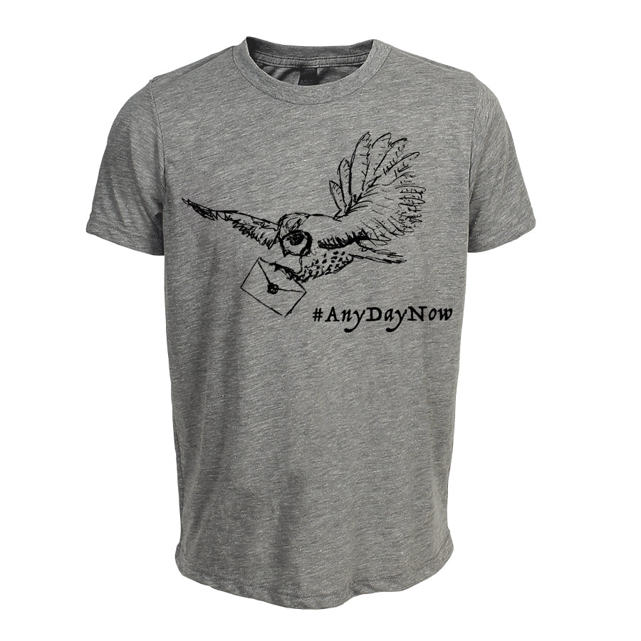 A gray t-shirt with a graphic design depicting a bird carrying a letter and the text "#AnyDayNow" printed on it.