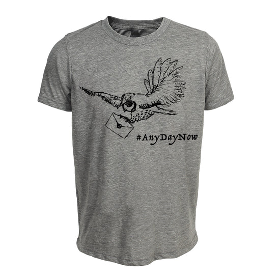 A gray t-shirt with a graphic design depicting a bird carrying a letter and the text "#AnyDayNow" printed on it.