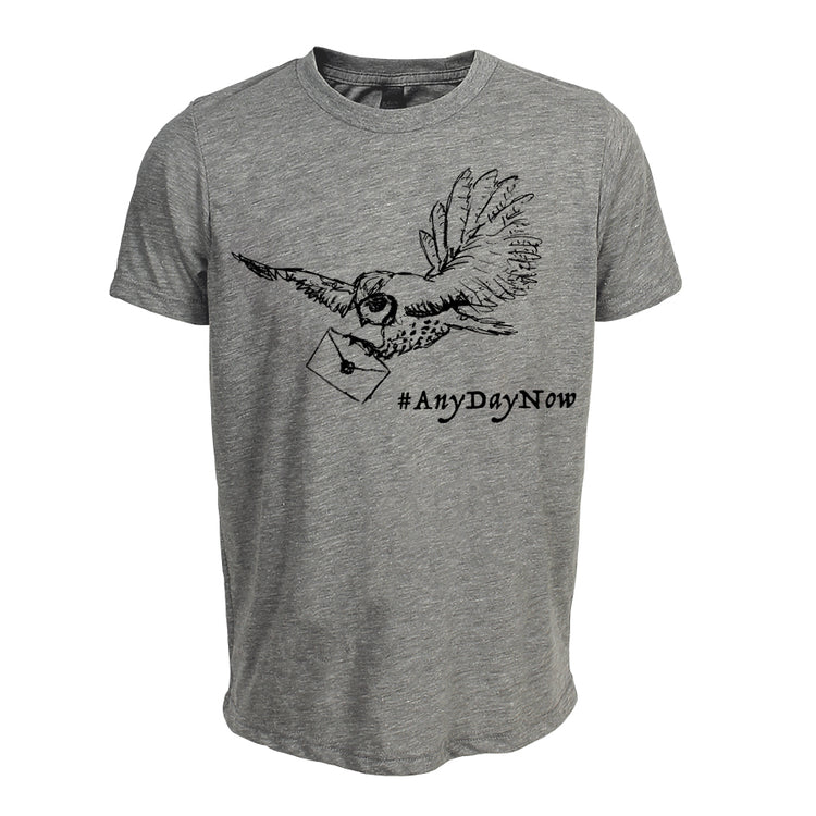 A gray t-shirt with a graphic design depicting a bird carrying a letter and the text "#AnyDayNow" printed on it.