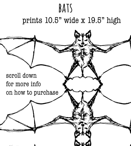 The image is a black and white illustration of a bat with wings spread out, accompanied by text providing information about the bat prints.