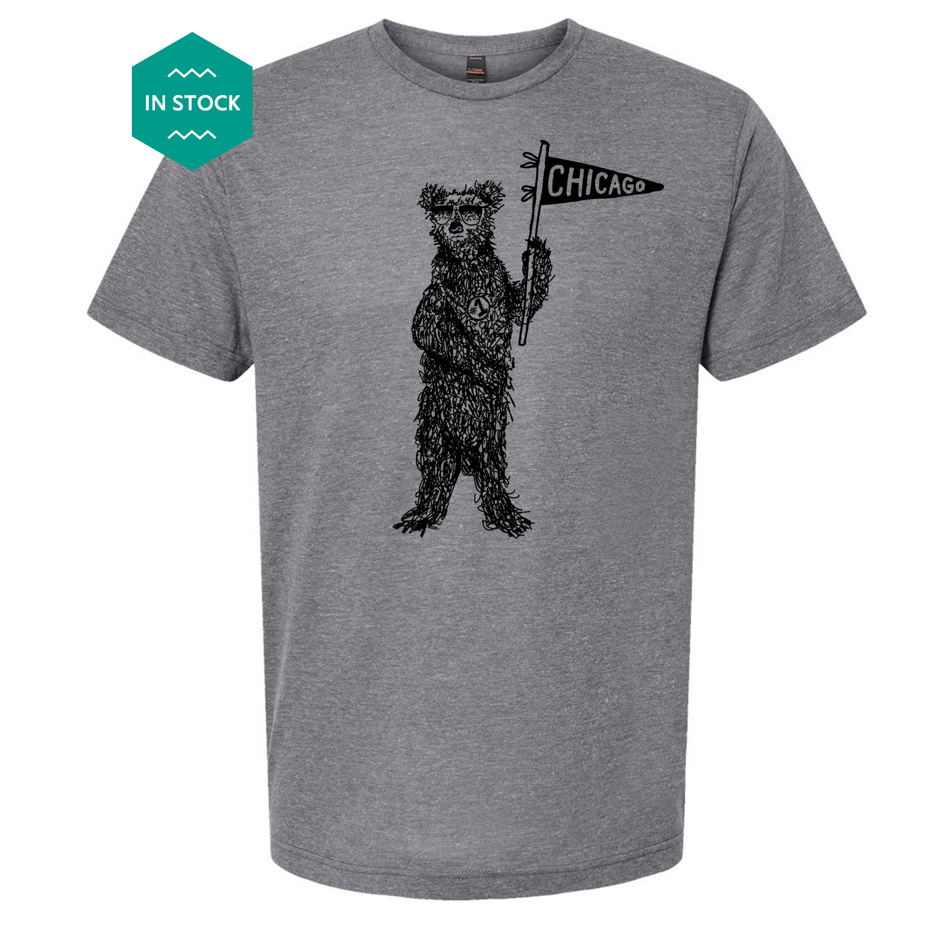 a t - shirt with a bear holding a chicago sign