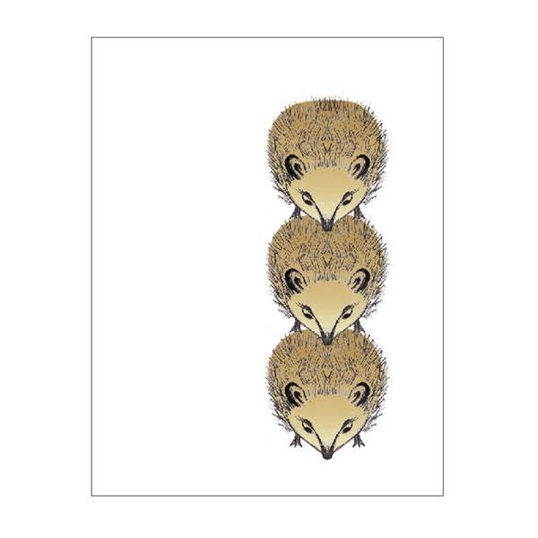 Hedgehogs Notecard