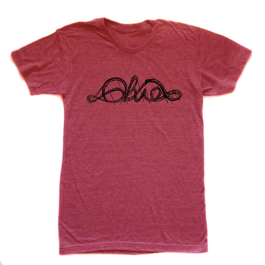 Ohio Rollercoaster : unisex tri-blend tee