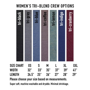 Never Follow : Women's Tri-Blend Graphic Tee Silk Screen, Stand out, Speak up, Chicks, Concert
