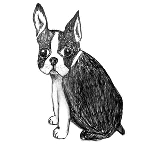 Boston Terrier : women tri-blend tee, Women's Apparel - Megan Lee Designs