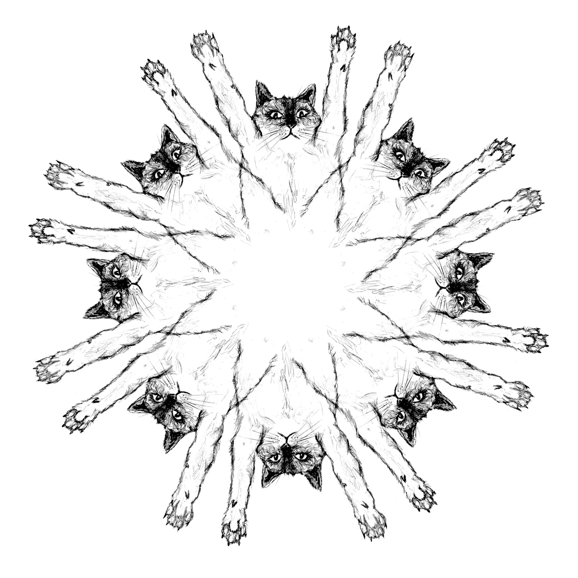 Suncats : unisex hoodie, Unisex Apparel - Megan Lee Designs