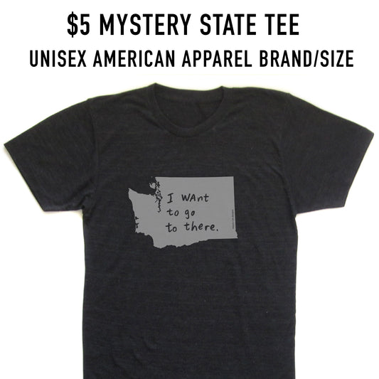 Mystery State T-shirt – Unisex Tri-Blend Shirt With Printed State Design by Megan Lee